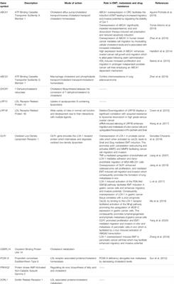 Mechanistic Insights Delineating the Role of Cholesterol in Epithelial Mesenchymal Transition and Drug Resistance in Cancer